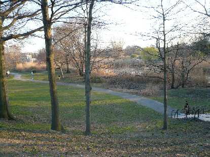 Back Bay Fens Park.