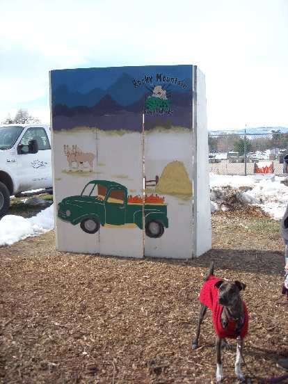 Quita had no interest in green trucks. Quita had no interest in green trucks.