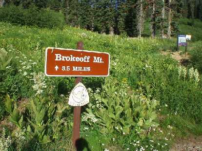 Brokeoff Mountain is the highest peak in Tehama County at 9285' and is just inside the Lassen Volcanic National Forest. The hike is 3.5 miles to the top (2600' up) from the trailhead and starts through s