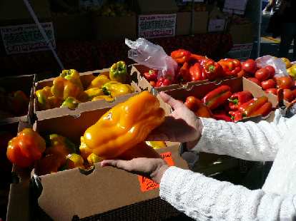 Humungous bell peppers at the Palo Alto Farmers Market.