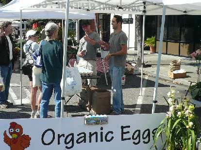 Dude juggling organic eggs.  Motto: "Happy chickens = happy eggs!"