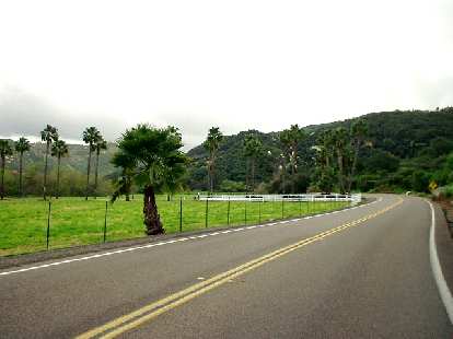 [Mile 89, 1:38 p.m.] The nice thing about all of the recent rains in Southern Califronia was how verdant the land was.  Palm trees are abundant in this landscape.