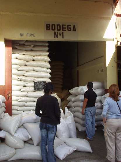 After fermenting, washing, pre-drying and drying, the coffee beans are aged for 4 months in these bags. After fermenting, washing, pre-drying and drying, the coffee beans are aged for 4 months in these bags.