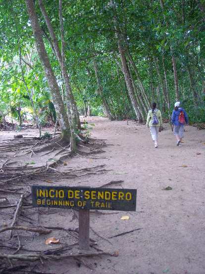 "Inicio de sendero": Beginning of the trail. "Inicio de sendero": Beginning of the trail.