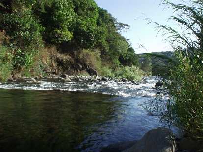 Here's the downstream view.