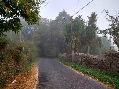 Foggy morning on the Camino de Fisterra. Foggy morning on the Camino de Fisterra.