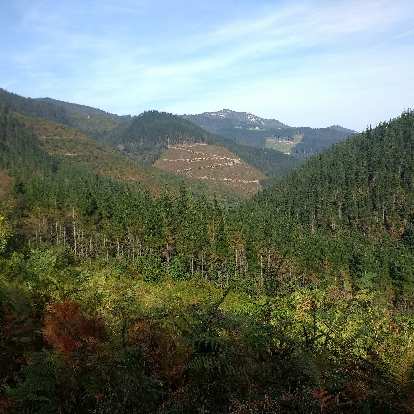 Basque country was beautiful but very mountainous. (24 Sep 2017) Basque country was beautiful but very mountainous.