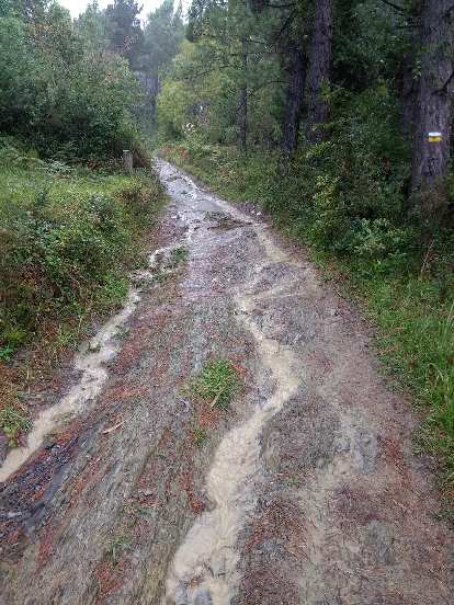 On the afternoon of Day 3, the rain finally came and it came hard. The trail started flooding a little bit.