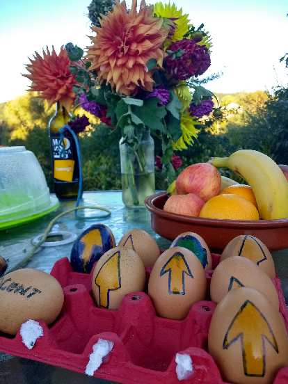 A trail angel left these eggs and fruit for hungry pilgrims along the Camino de Santiago.
