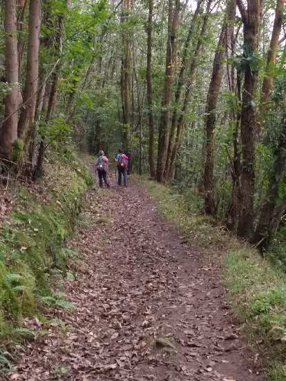 I met these two women from France along the Camino Primitivo west of Cornella, Spain. We talked in French for a while.