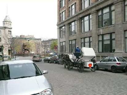 In Old Montreal, I was seeing these horse carriages about once a day.  Ok, they are mainly for tourists.