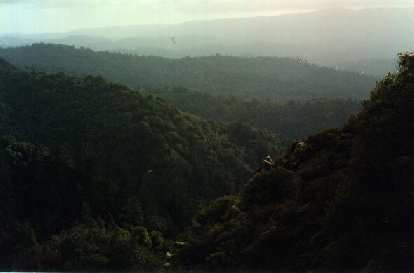 A purty view from Goat Rock. At least it didn't rain! A purty view from Goat Rock. At least it didn't rain!