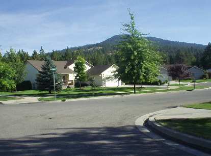 Deborah's neighborhood was really nice, with lots of trees both along the streets and in the foothills.  New home construction is threatening to clear-cut some of the trees in the foothills.
