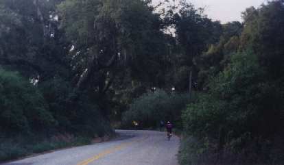 green trees, early miles of 1999 Central Coast Double Century.