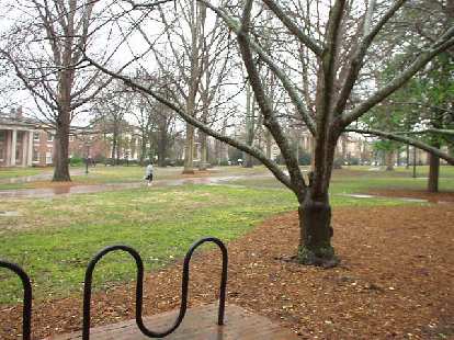 This was dedication: a runner runs through the University of North Carolina campus in driving rain and 40 degree temps. This was dedication: a runner runs through the University of North Carolina campus in driving rain and 40 degree temps.