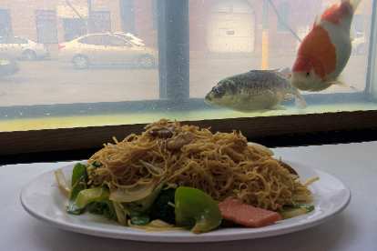 A plate of lo mein in front of live fish inside the Grand Palace restaurant in Chinatown of Chicago.