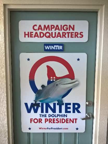 Thumbnail for Clearwater Marine Aquarium