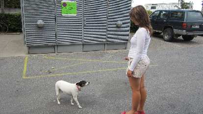 Katia encountering a dog.