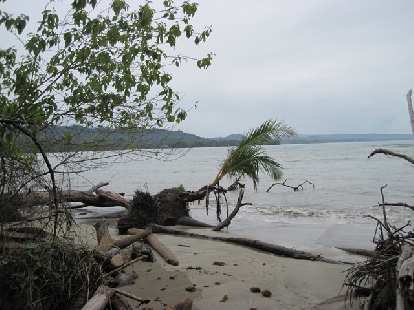 Beach at Parque Nacional Cahuita. Photo: Tori. (21 Mar 2011) Beach at Parque Nacional Cahuita.