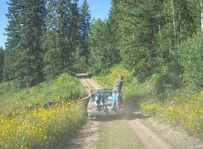 Through the wildflowers on the way out.