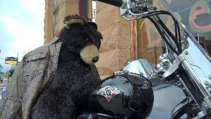 Stuffed bear riding black Victory motorcycle