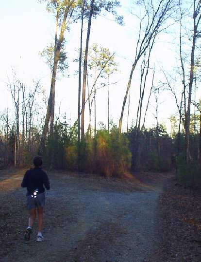 For good times' sake we also ran 10 miles in the Duke Forest. (11 Feb 2007) For good times' sake we also ran 10 miles in the Duke Forest.
