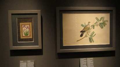 Paintings of flowers and a bird.