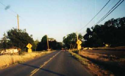 flat road, road signs with curves, near Davis, California