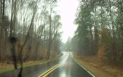 Durham has many wooded forests. wooded forests, rainy road, Durham, North Carolina
