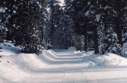 The snow-covered road to Echo Pass just off of US-50.