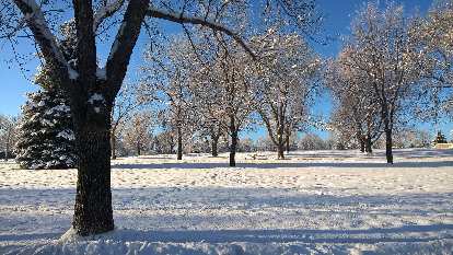 Edora Park, snow, January, Fort Collins