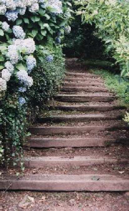 Steps to the Dunster Castle. (15 Aug 2000) Steps to the Dunster Castle.