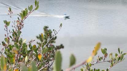 Speedboat in the Horsetooth Reservoir.