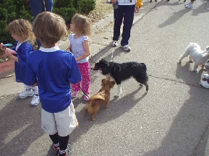 Doggies checking each other out. Doggies checking each other out.