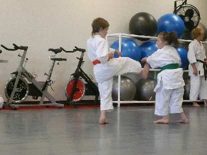 Kids doing Karate. (01 Dec 2007) Kids doing Karate.