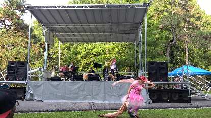 woman wearing pink dress, Caribbean band, Tower Grove Park, Festival of Nations