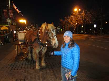 Kelly with a horse down in Old Town. Kelly with a horse down in Old Town.