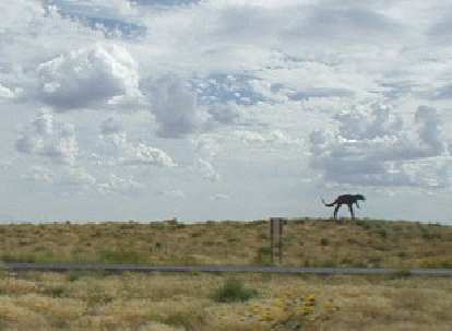 In Arizona, I also spotted... dinosaurs.  Ok, so this one is fake -- there were quite a few by I-40.