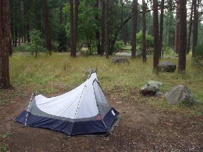 I camped in the Coconino National Forest.  It was pretty damp on this day.