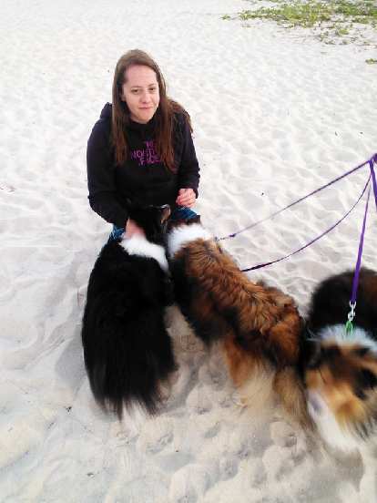 A woman with four mini-collies came walking upon the beach and they greeted Kelly.