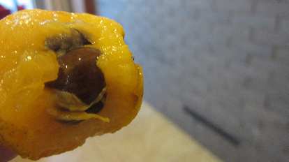 Not sure what this is. People were pronouncing it "tipa," I think in Mandarin. It's about the size of an apricot but has four seeds. Maybe it's a kumquat?