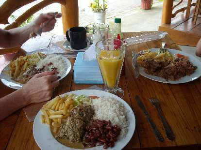 In Cahuita, we had a big lunch at a Caribbean restaurant. Each of our combination plates had rice, beans, and French fries. I also had fish. (21 Mar 2011) In Cahuita, we had a big lunch at a Caribbean restaurant. Each of our combination plates had rice, beans, and French fries. I also had fish.