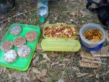 Amaranth/chocolate cookies, dried apples, fried bananas, and trail-mix-like bars made great hiking snacks, courtesy of our guide Marie of Tierra Ventura.