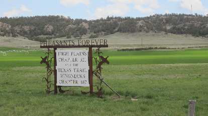 Pheasants Forever: High Plains Chapter 32 and the Texas Trail Ringnecks Chapter 887. Pheasants Forever: High Plains Chapter 32 and the Texas Trail Ringnecks Chapter 887