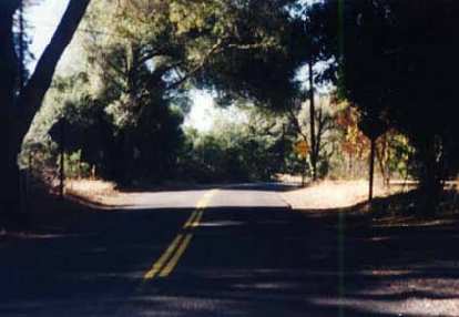 A very shaded road in the 1997 Foxy's Fall Classic. narrow empty shaded road