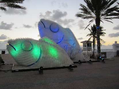 Fish at Fort Lauderdale Beach.