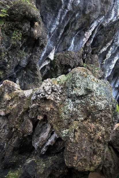 Natural rock that look like animal heads at the Fujian Linyin Stone Forest. Photo: Natural rock that look like animal heads at the Fujian Linyin Stone Forest.