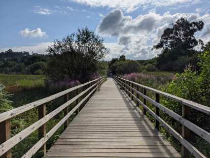A bridge on a running trail on the north side of Pontevedra. (31 Jul 2021) A bridge on a running trail on the north side of Pontevedra.