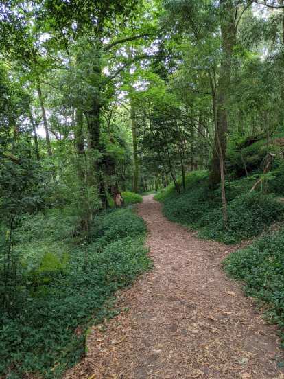 A footpath through the Bosque Encantado in Cangas. (03 Aug 2021) A footpath through the Bosque Encantado in Cangas.