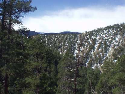 The Poudre Canyon was wonderfully treed with interspersed snow.